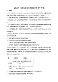 高中生物专练13 动物生命活动的调节冲刺高考50题-2020年高考生物总复习考点必杀800题（无答案）