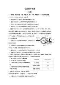 江苏省南通市海安高级中学2022-2023学年高二生物上学期11月期中考试试题（Word版附答案）