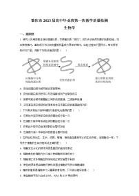 广东省肇庆市一中2022-2023学年高三生物上学期高三第一次质量检测（Word版附答案）