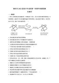 广东省肇庆市一中2022-2023学年高三生物上学期高三第一次质量检测(Word版附答案)