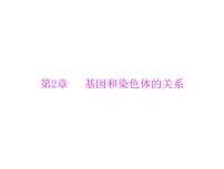 2022年《南方新课堂 高考总复习》生物 必修2 第2章 第1节 减数分裂和受精作用课件