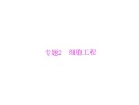 2022年《南方新课堂 高考总复习》生物 选修3 专题2 细胞工程课件