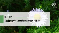 高中生物2022年高考生物一轮复习 第5单元 强化练9 自由组合定律中的特殊分离比课件PPT