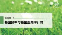 高中生物2022年高考生物一轮复习 第7单元 强化练14　基因频率与基因型频率计算课件PPT