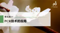 高中生物2022年高考生物一轮复习 第10单元 强化练21 PCR技术的应用课件PPT