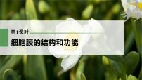 高中生物2023年高考生物一轮复习（新人教新高考） 第2单元 第1课时　细胞膜的结构和功能课件PPT