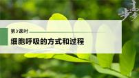 高中生物2023年高考生物一轮复习（新人教新高考） 第3单元 第3课时　细胞呼吸的方式和过程课件PPT