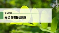 高中生物2023年高考生物一轮复习（新人教新高考） 第3单元 第6课时　光合作用的原理课件PPT