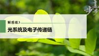 高中生物2023年高考生物一轮复习（新人教新高考） 第3单元 解惑练3　光系统及电子传递链课件PPT