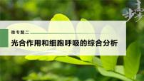 高中生物2023年高考生物一轮复习（新人教新高考） 第3单元 微专题二　光合作用和细胞呼吸的综合分析课件PPT