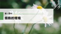 高中生物2023年高考生物一轮复习（新人教新高考） 第4单元 第1课时　细胞的增殖课件PPT