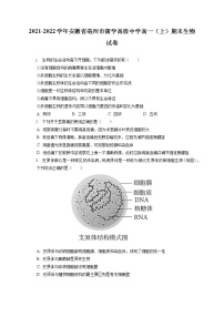 2021-2022学年安徽省亳州市黉学高级中学高一（上）期末生物试卷（含答案解析）