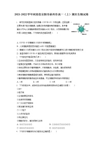 2021-2022学年河南省安阳市林州市高一（上）期末生物试卷（含答案解析）