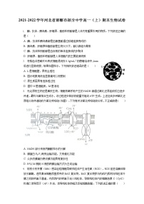 2021-2022学年河北省邯郸市部分中学高一（上）期末生物试卷（含答案解析）