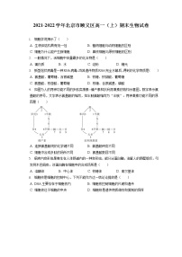 2021-2022学年北京市顺义区高一（上）期末生物试卷（含答案解析）