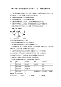 2021-2022学年福建省龙岩市高一（上）期末生物试卷（含答案解析）