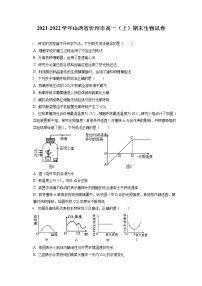 2021-2022学年山西省忻州市高一（上）期末生物试卷（含答案解析）