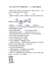 2021-2022学年辽宁省锦州市高一（上）期末生物试卷（含答案解析）