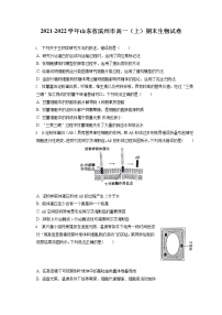 2021-2022学年山东省滨州市高一（上）期末生物试卷（含答案解析）