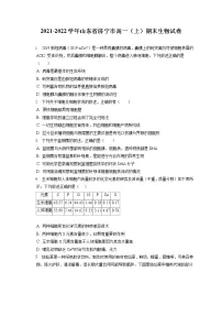 2021-2022学年山东省济宁市高一（上）期末生物试卷（含答案解析）