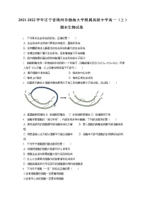 2021-2022学年辽宁省锦州市渤海大学附属高级中学高一（上）期末生物试卷（含答案解析）