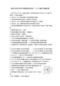 2021-2022学年江西省新余市高一（上）期末生物试卷（含答案解析）