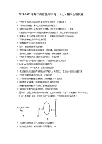 2021-2022学年江西省抚州市高一（上）期末生物试卷（含答案解析）
