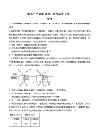 湖南省长沙市雅礼中学2022-2023学年高三生物上学期第四次月考试卷（Word版附答案）