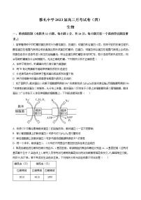 湖南省长沙市雅礼中学2022-2023学年高三生物上学期第四次月考试卷（Word版附答案）