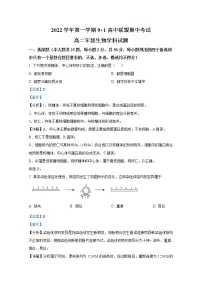 浙江省91高中联盟2022-2023学年高二生物上学期期中试题(Word版附解析)