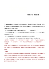 (新高考)高考生物二轮复习考点精讲练习16基因工程、生物技术的安全性与伦理问题(含解析)