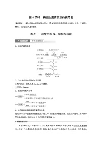 (新高考)2023年高考生物一轮复习讲义第1单元第4课时核酸是遗传信息的携带者(含解析)