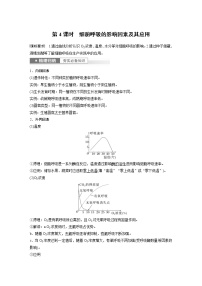 (新高考)2023年高考生物一轮复习讲义第3单元第4课时细胞呼吸的影响因素及其应用(含解析)