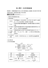 (新高考)2023年高考生物一轮复习讲义第3单元第6课时光合作用的原理(含解析)