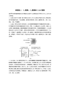 (新高考)2023年高考生物一轮复习讲义第3单元解惑练1C3植物、C4植物和CAM植物(含解析)