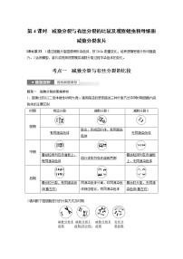 (新高考)2023年高考生物一轮复习讲义第4单元第4课时减数分裂与有丝分裂的比较及观察蝗虫精母细胞减数分裂装片(含解析)