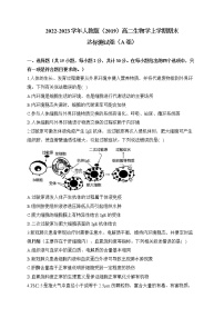 2022-2023学年人教版（2019）高二生物学上学期期末达标测试卷（A卷）