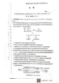 2023湖南师大附中高三上学期月考卷（四）生物试题PDF版含解析