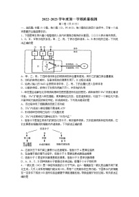 山东省枣庄市滕州市2022-2023学年高二上学期期中生物试题