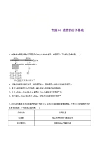 2021年高考生物真题与模拟题分类训练专题06遗传的分子基础（2份打包，含解析+原卷版，可预览）