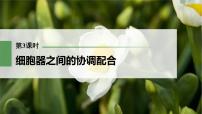 (新高考)2023年高考生物一轮复习课件第2单元第3课时细胞器之间的协调配合(含解析)