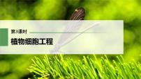 (新高考)2023年高考生物一轮复习课件第10单元第3课时植物细胞工程(含解析)