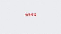 (新高考)高考生物二轮复习考点精讲课件5细胞呼吸的原理和应用(含解析)