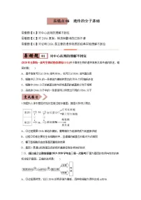 (新高考)高考生物二轮复习易错点06遗传的分子基础(2份打包,含解析+原卷版,可预览)