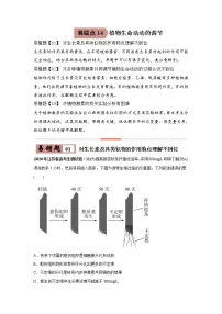 (新高考)高考生物二轮复习易错点14植物生命活动的调节(2份打包,含解析+原卷版,可预览)