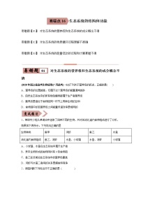 (新高考)高考生物二轮复习易错点16生态系统的结构和功能（2份打包，含解析+原卷版，可预览）