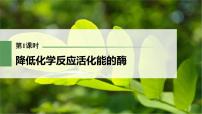 (新高考)2023年高考生物一轮复习课件第3单元第1课时降低化学反应活化能的酶(含解析)