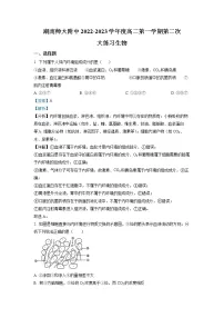 湖南师范大学附属中学2022-2023学年高二生物上学期第二次大练习试题(Word版附解析)