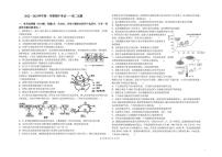 2022-2023学年山东省青岛第二中学高二上学期期中考试生物试题pdf版含答案