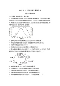 2023枣庄滕州一中高一上学期期中（线上）考试生物试题含答案